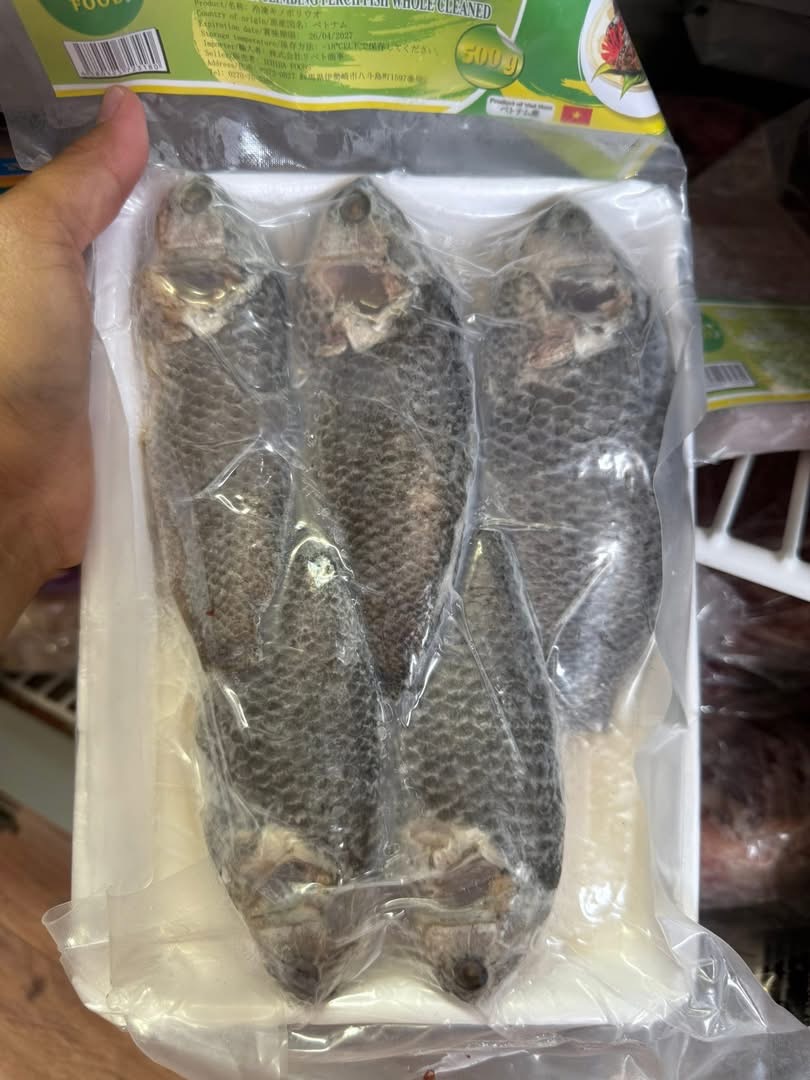 ααααΈααααΆαα
