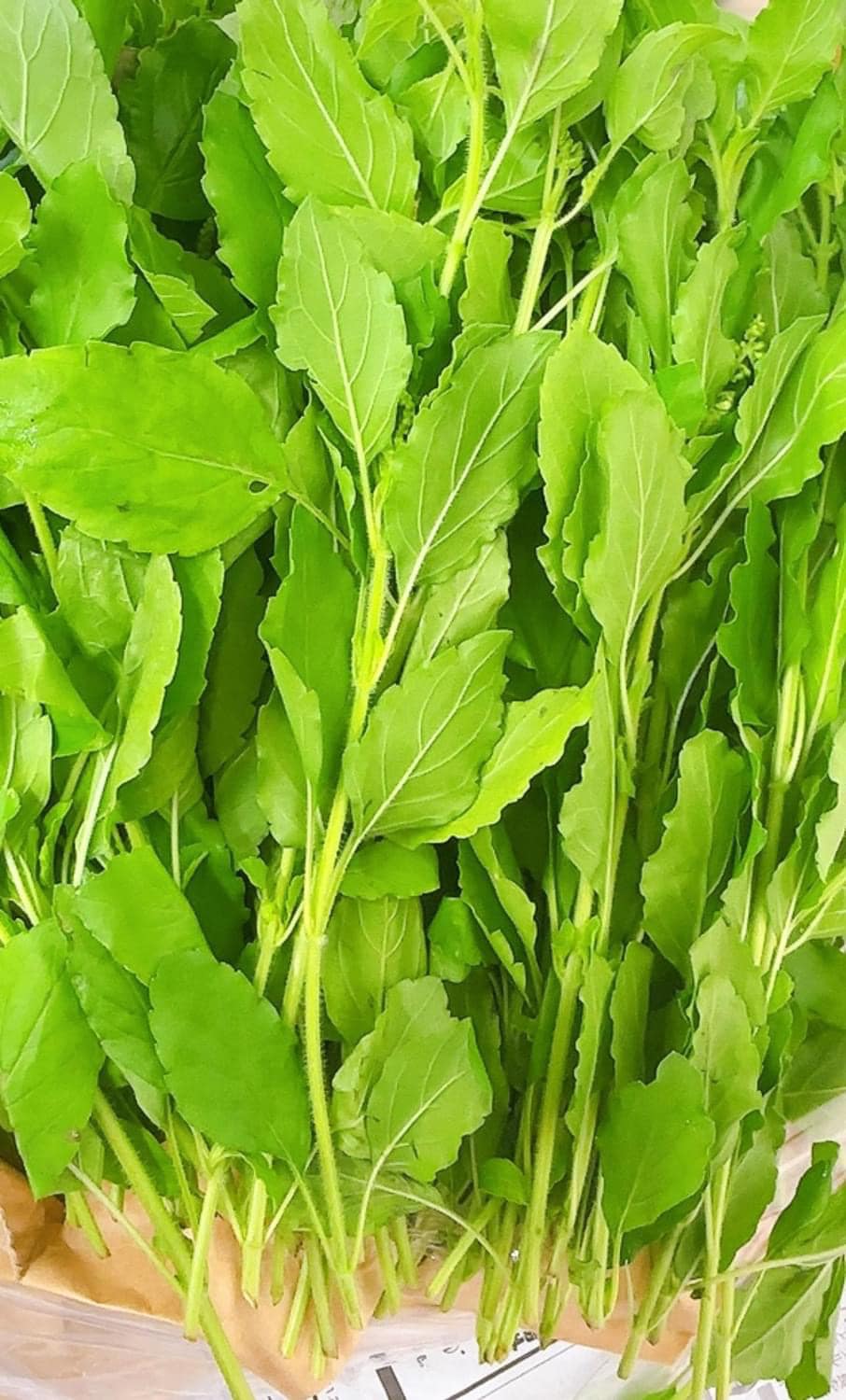 ម្រះពៅ ជួនមានជួនអត់