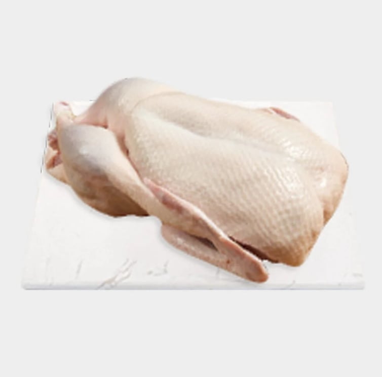 Duck 1.6 -1.7 kg