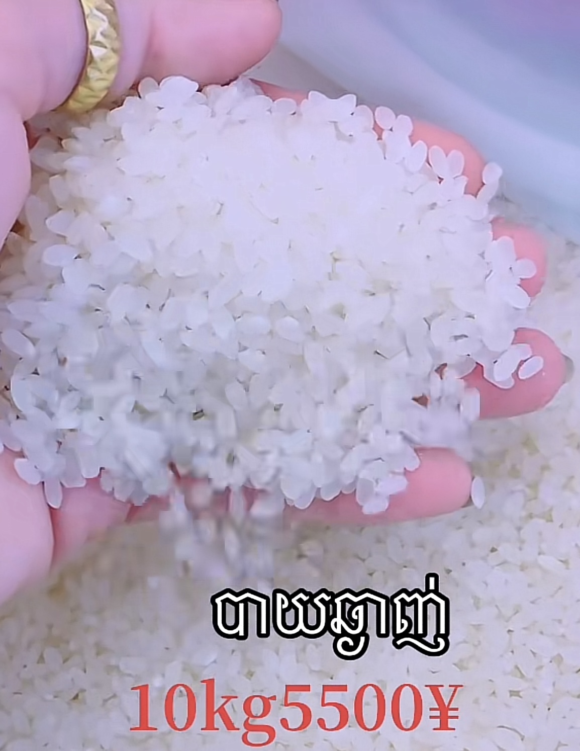 អង្ករ10kg