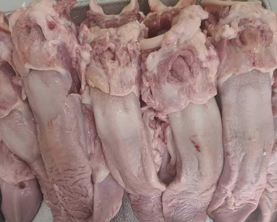 អណ្តាតជ្រូក